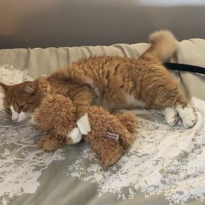 Meet your Posher, Peter